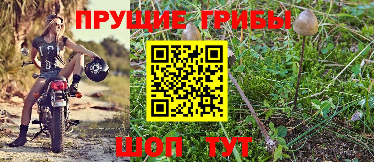 Галлюциногенные грибы GOLDEN TEACHER Кизилюрт