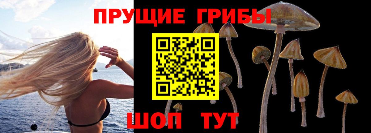 Галлюциногенные грибы Psilocybine cubensis  Галлюциногенные грибы мицелий  Вход с VPN  Кизилюрт 